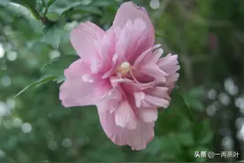 鲁西南方言杂谈-慢待 慢怠图片