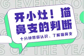 开小灶！猫咪出现什么症状是猫鼻支？图片