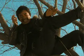 哈喽啊，树哥！生活给我以绝望，我便报之以疯狂图片