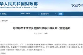 财政部成立乡村振兴领导小组图片