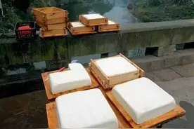 我和豆腐的缘分图片