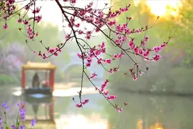 三月：致我的红颜知己图片