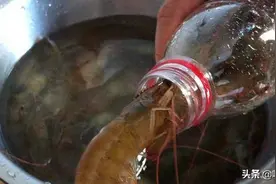 买大虾时，谨记“4不买，3不吃”！事关家人健康，别再买错了图片
