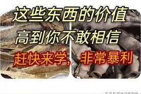 利润非常高，却少有人做的项目，你敢来挑战吗？图片