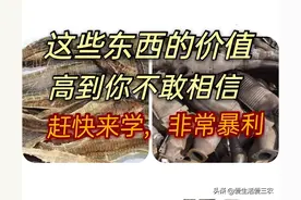 利润非常高，却少有人做的项目，你敢来挑战吗？图片