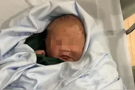 浙江车主忘关车窗，昨天后座多了个刚出生的孩子！身上还有血迹图片