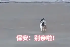 危险！情侣海边忘情激吻，一旁的保安急得大喊：“别亲了，涨潮了！”图片