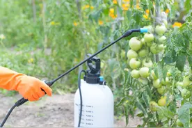 苹果树栽培技术｜苹果园合理混用和使用农药的方法图片