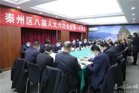 【两会现场】雷鸣参加秦州区八届人大六次会议第一代表团审议《政府工作报告》图片