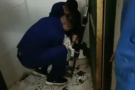 “好奇心害死猫” 南康区一只猫头被卡在了下水道……图片