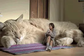 最近流行晒家里的秘密基地，游戏房还能理解，冰箱里蹦迪啥意思？图片