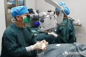 「清晰视界」“老伴儿，再次看见你真好”图片