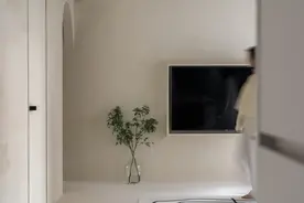 她花60W把家搬空！120㎡空无一物，却暗藏变态收纳：比断舍离好用图片