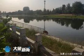 两女一男！郑州索须河3人溺亡 疑似营救宠物落水图片