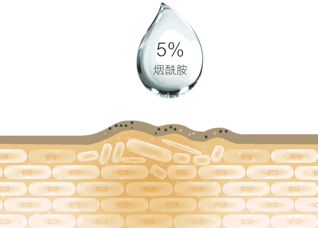 身体乳能在平常用吗