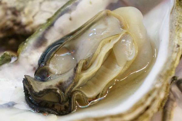 知名男歌手买的海狗丸是啥？可以治疗“透支”的身体吗？
