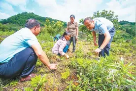 小康就在青山叠翠间——公安部定点帮扶贵州普安、兴仁摆脱贫困图片