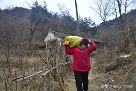招来的女婿外出打工，山村大妈回深山砍柴取暖，为啥最怕陌生好人图片