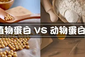 蛋白质的作用是什么？怎么补充蛋白，身体吸收率最高？图片