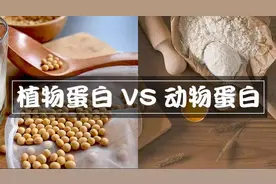 蛋白质的作用是什么？怎么补充蛋白，身体吸收率最高？图片