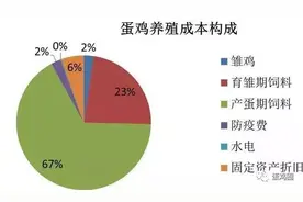 我国产蛋鸡总量上限约是多少只？图片
