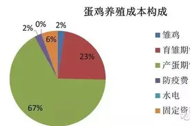 我国产蛋鸡总量上限约是多少只？图片