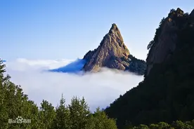 三丰康慧有机硒生长环境竟然是在这里！图片