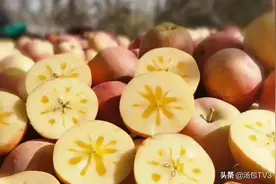 苹果有冰糖心的才好吃？其实这是“病苹果”图片
