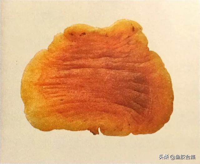 赤嘴鳘鱼胶功效作用 2026年赤嘴鳘鱼胶是什么鱼