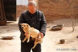 山西7旬农民大爷，家养1只“小神犬”有件事立了大功，啥情况图片