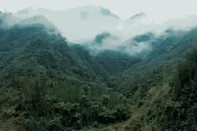 愿岁月无恙，许人间安暖图片