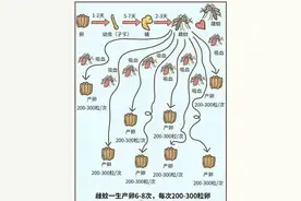 雌蚊子只需交配一次便可终身产卵，你知道吗？图片