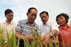 袁隆平打报告要一千万经费，李鹏爽快答应，并说：应该多拿两千万图片