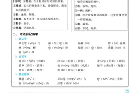 二年级下册语文《名师划重点》，同步课文基础知识点，好辅导必备图片