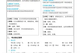 二年级下册语文《名师划重点》，同步课文基础知识点，好辅导必备图片