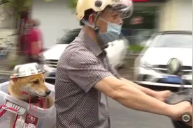 杭州一大爷驾电动车载狗，人狗双双戴头盔画面吸睛：不戴怕被罚款图片