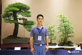 张志刚 青年有为的盆景艺术家图片