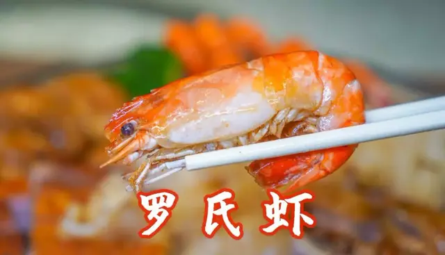 鳄鱼肉炖花胶 2026年鳄鱼肉炖花胶