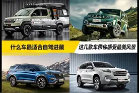 自驾出游应该怎么选车 这4款车通过性好、装载能力强图片