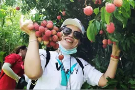 这个村的荔枝，“红”透大西北图片