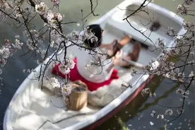 每个30岁没结婚的人，都要看看她图片