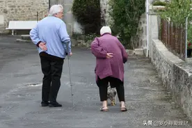 父母不愿给孩子太大压力，主动提出住养老院，你会支持还是反对？图片