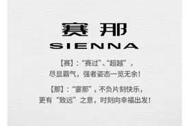 广汽丰田正式官宣国产“赛那”，长度超五米，定价或28万起图片