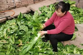 让人垂涎欲滴的四川农村自制榨菜，你吃过吗？图片