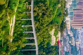 千园之城 | 金鸡山公园，被负氧离子包围的公园！图片