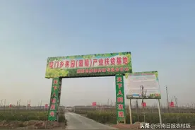 “三个全覆盖”注入活力｜原阳县创新基层党组织建设综述 ①图片