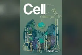今日Cell：肠道菌群只是自闭症的“果”而非“因”？图片