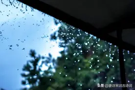雨里有四季，雨里有年华图片
