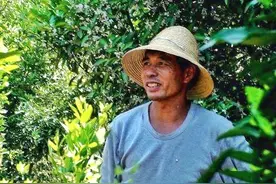 温州中年桔农，总结5条温商成功之道，看似简单却直击真相图片