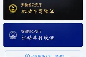 @铜陵人，开车忘带驾驶证、行驶证，别怕！电子证来了……图片